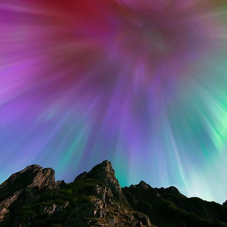 Ringstad Resort Bo (Nordland) Esterno foto