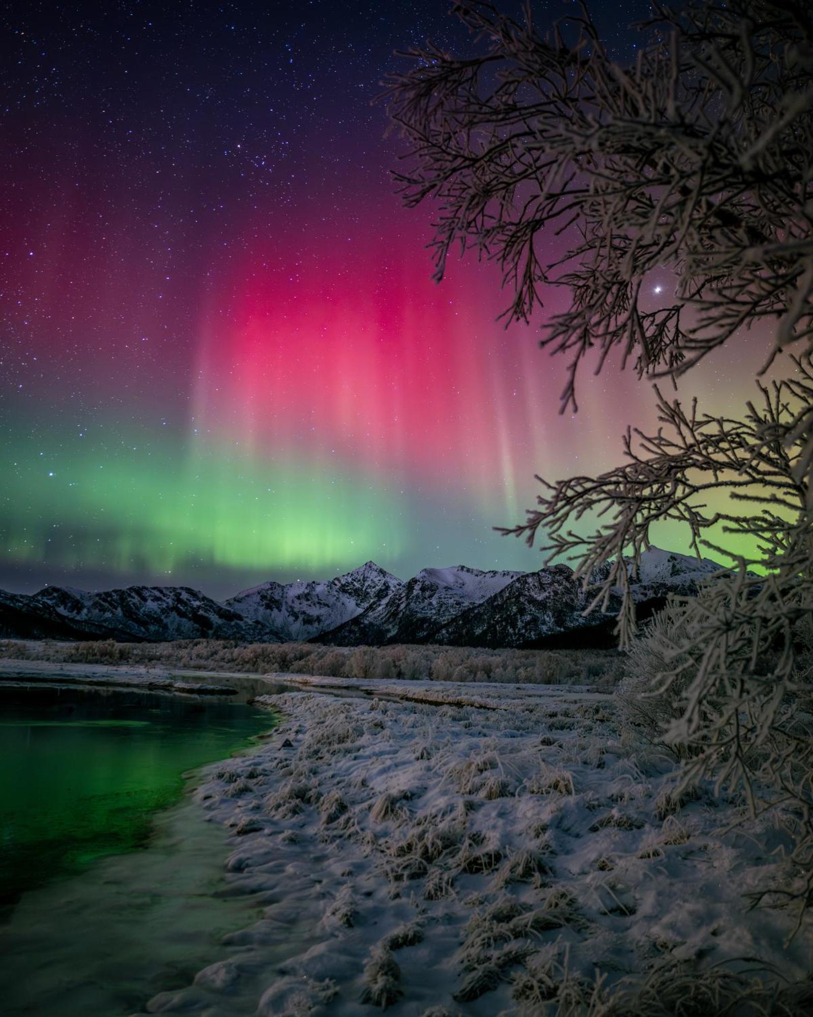 Ringstad Resort Bo (Nordland) Esterno foto